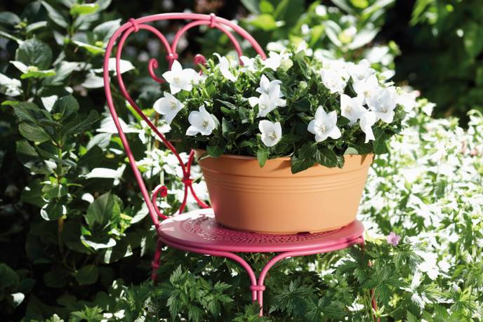 green basics schale 33cm mild terra